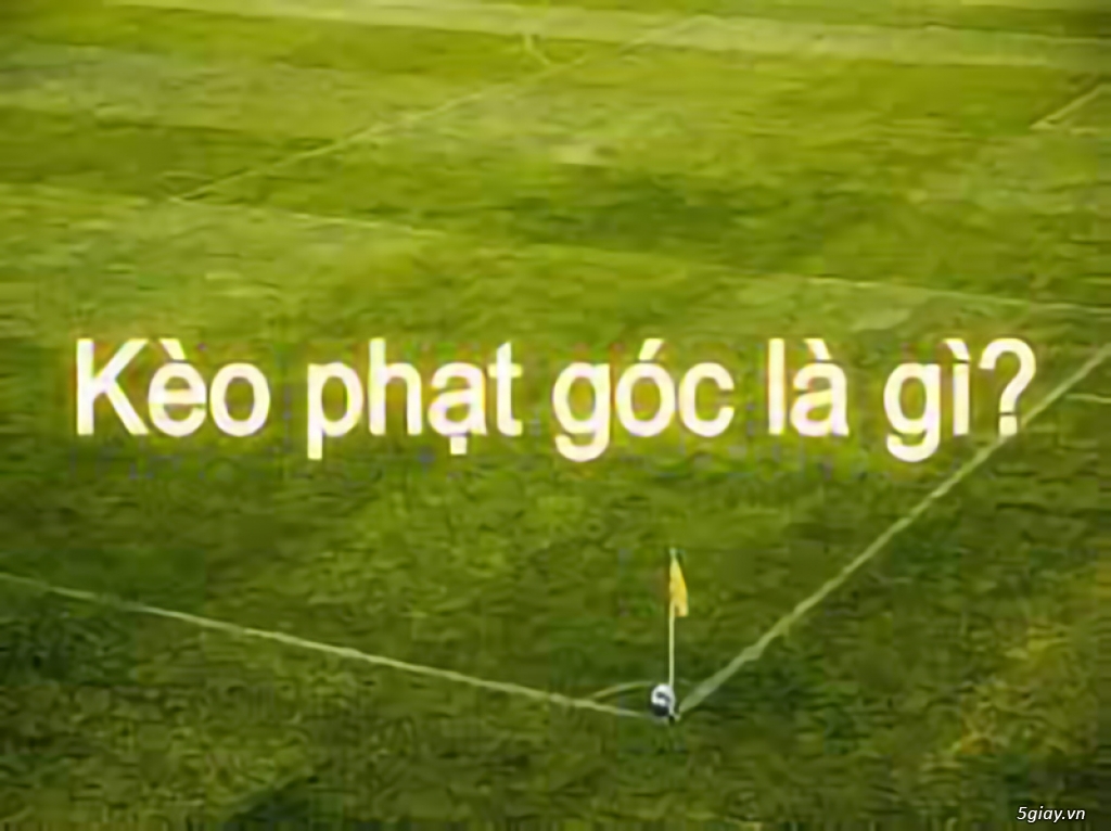 Kèo Phạt Góc Là Gì? Khám Phá Thế Giới Cá Cược Phạt Góc Đầy Hấp Dẫn image-1732952251900