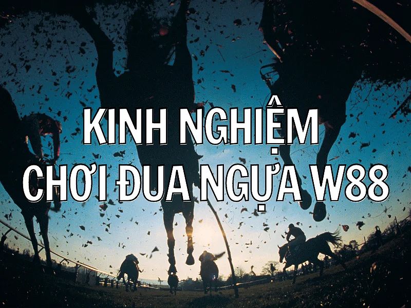 Kinh nghiệm đặt cược đua ngựa