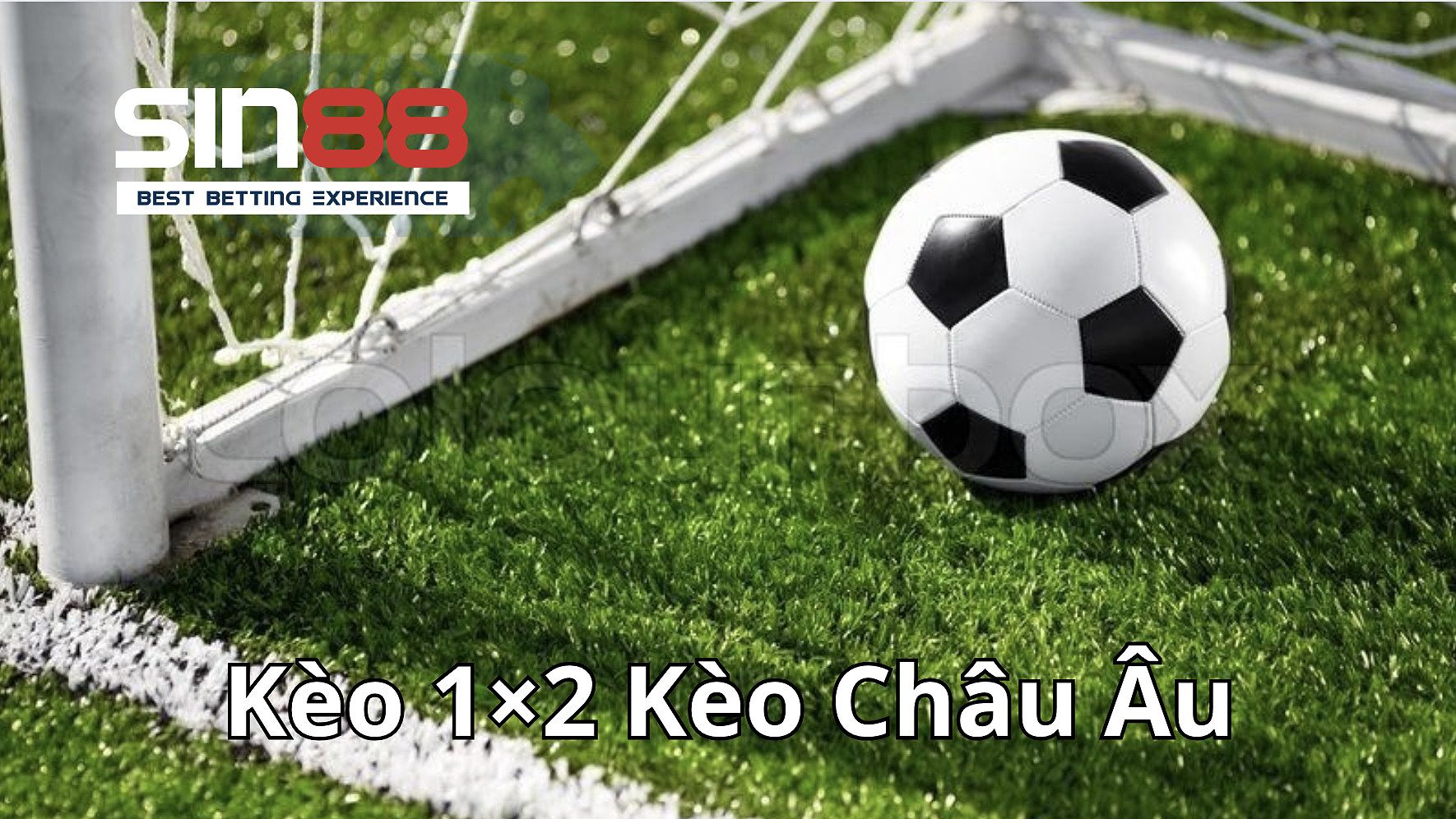 Kinh nghiệm đặt cược kèo 1×2