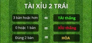 tai xiu 2 trai la sao huong dan toan dien cho nguoi moi bat dau 283 8327